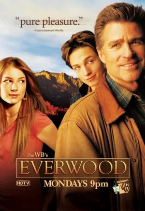 Любовь вдовца (сериал 2002)